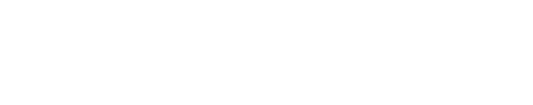 AIRREX
